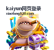 kaiyun网页登录提示文字对照与输入核对示意