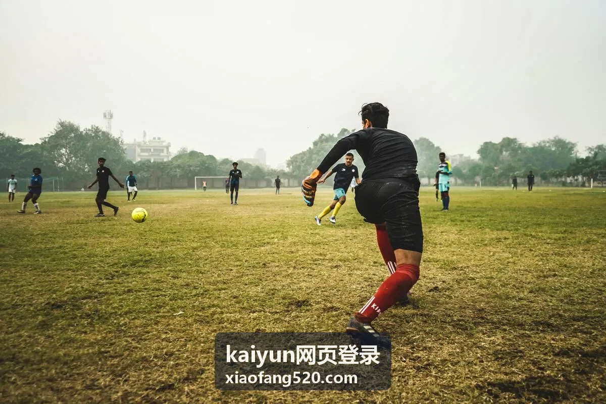 kaiyun网页登录更换设备后重新登录场景