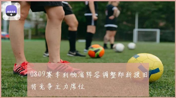 0809赛季利物浦阵容调整即新援旧将竞争主力席位